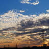 秋はイワシ雲に乗ってやって来る