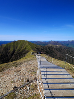 剣山・尾根道