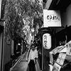 京都スナップ11
