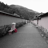 一乗谷の紅一点