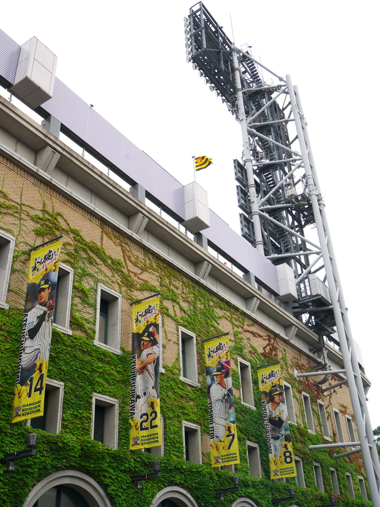 甲子園