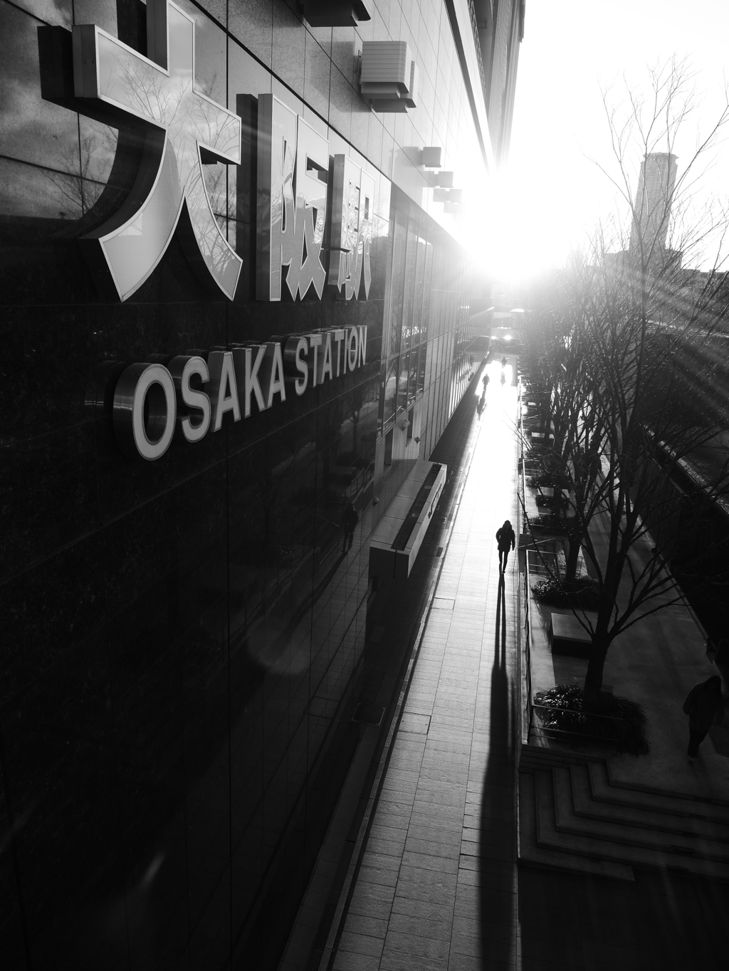 Blinded by the light ～Osaka Station～