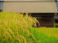 京の田舎