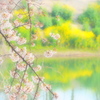 春色ソフトフォーカス