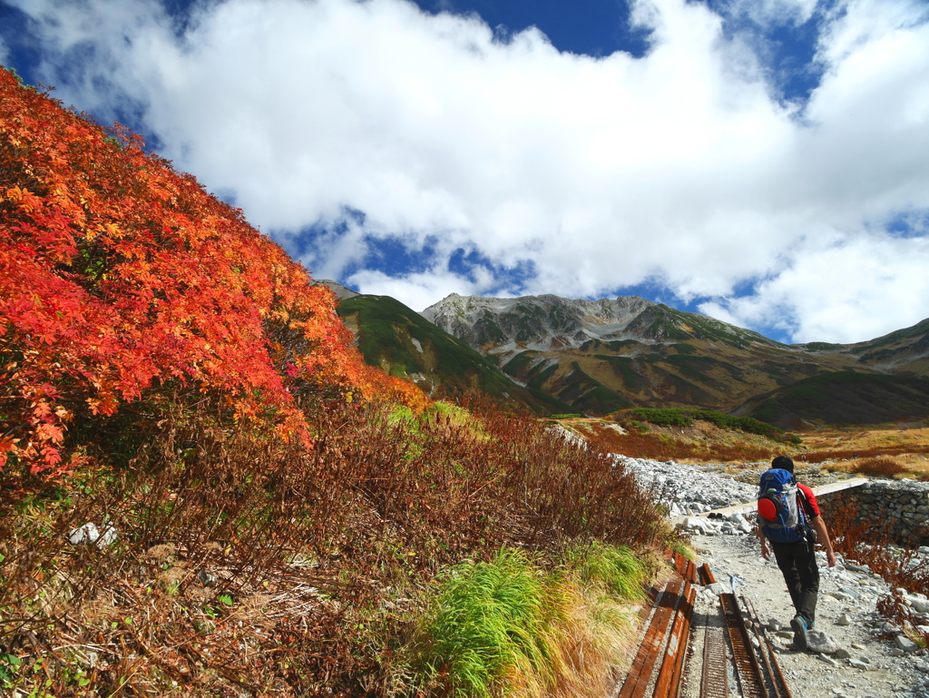 山紅葉2