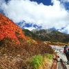 山紅葉2