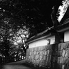 登城