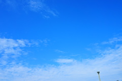 DSC00169