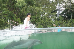 DSC00295
