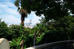 横浜・外人墓地からランドマークタワーを眺む。