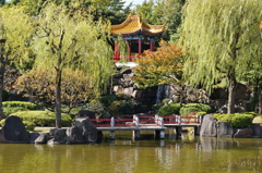 気分だけでも中国。