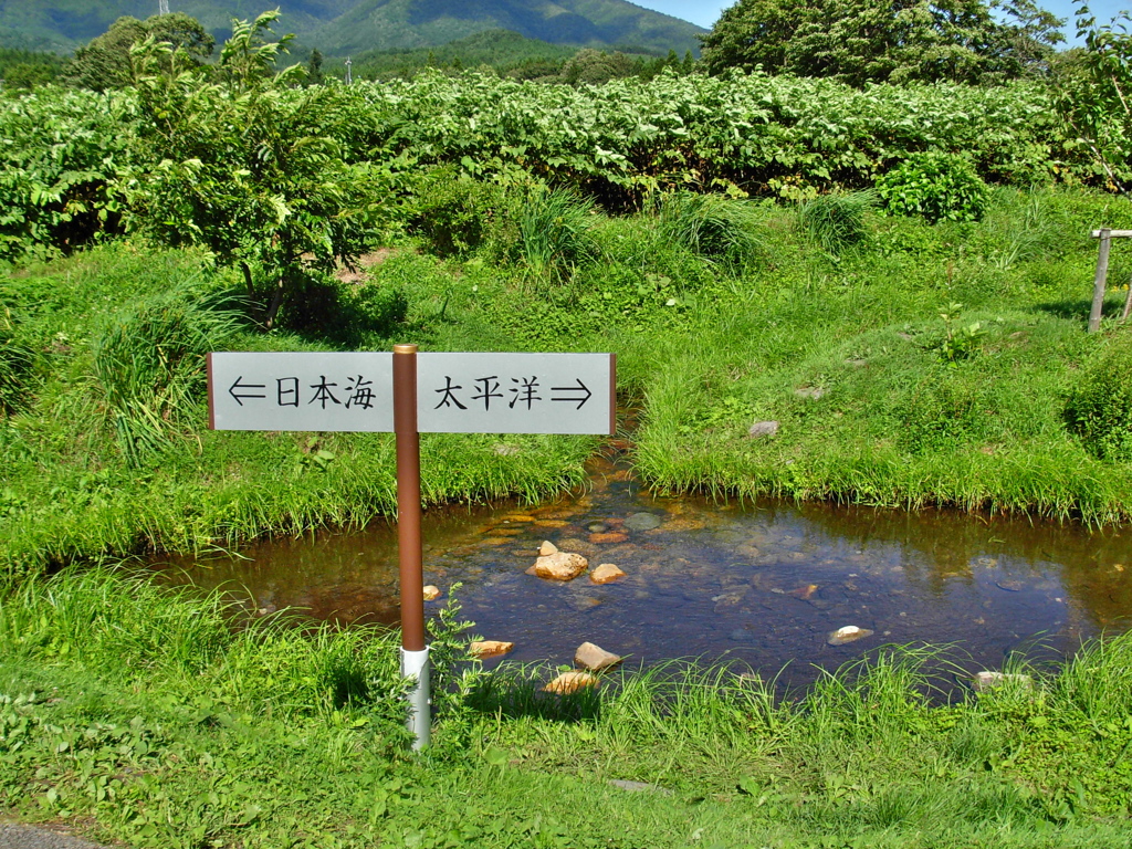 大分水嶺
