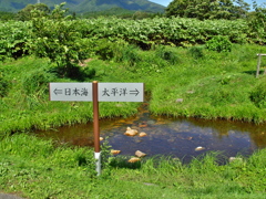 大分水嶺