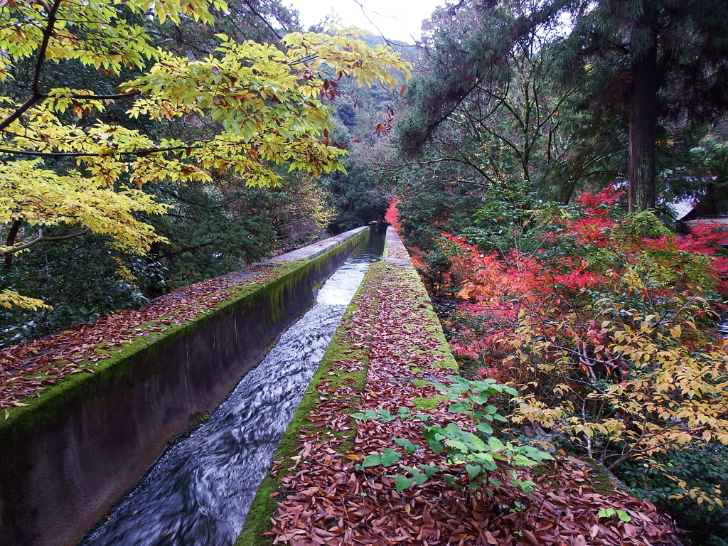 秋の水路閣