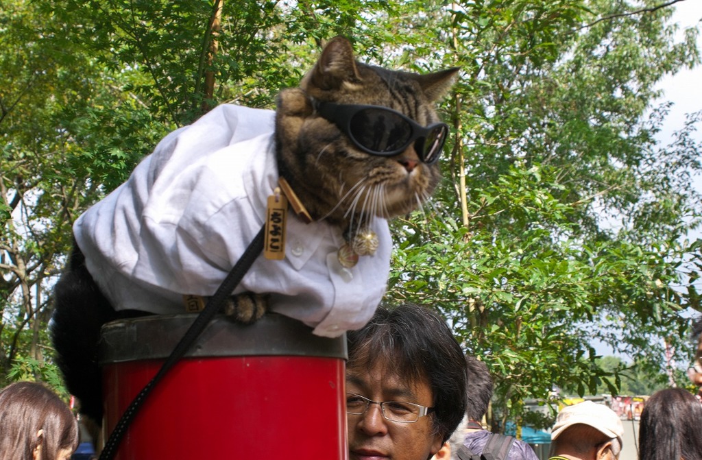 ニャンだい・・・この人たちは・・・・