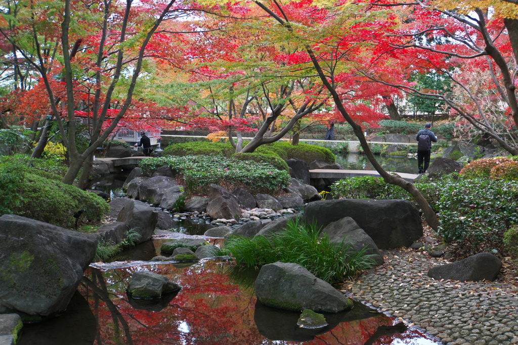 大田黒公園（お屋敷跡）の紅葉。