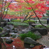 大田黒公園（お屋敷跡）の紅葉。