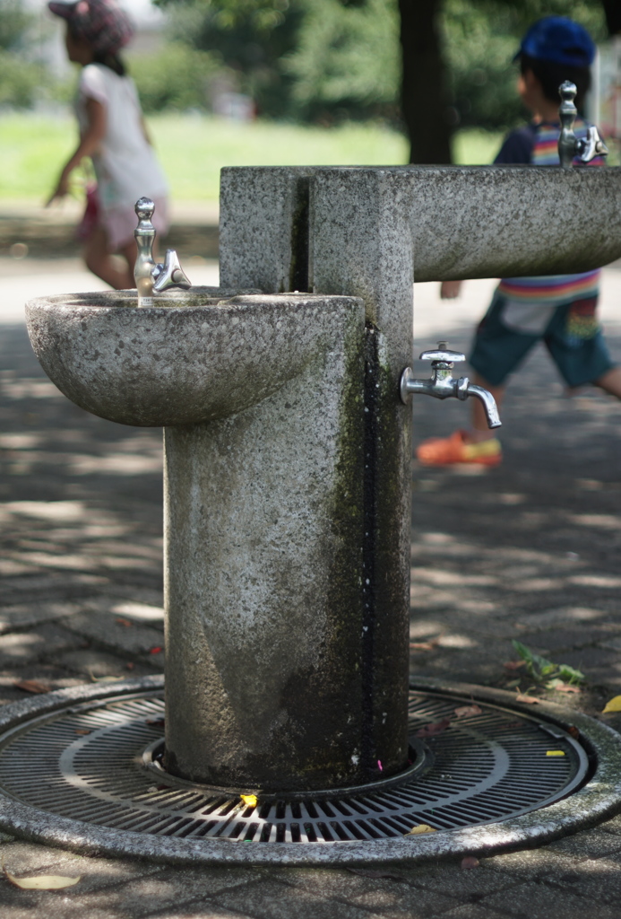 私・・公園の水飲み場なんです。