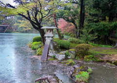 雨の兼六園。