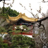 梅と楼閣