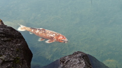 そんなに見ないで・・・ポッ・・