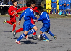 たたかい。
