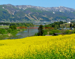 大好きな飯山・・