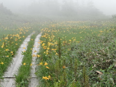 DSC00079