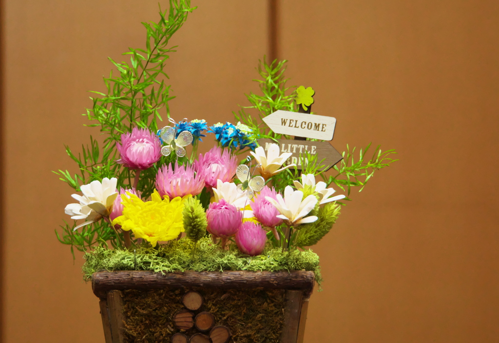 WELCOME MY LITTLE GARDEN