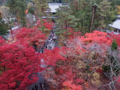 絶景かな・・