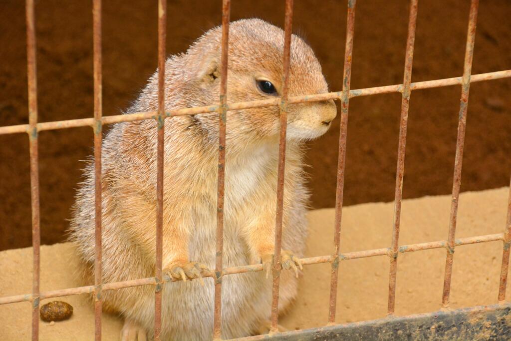 あのーー・・まだ帰してもらえませんかーー・・。