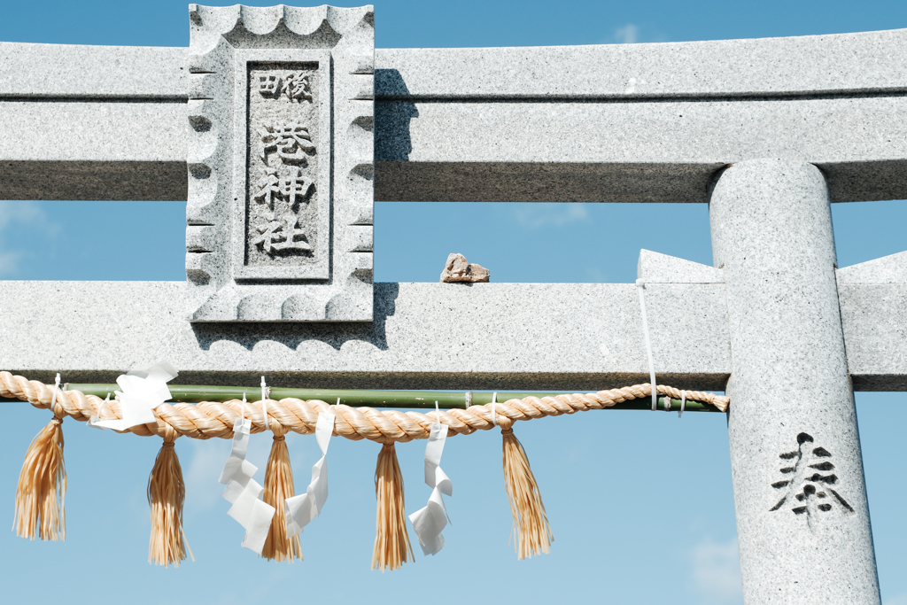 魅惑の鳥居