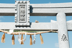 魅惑の鳥居