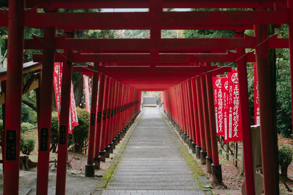 鳥居の連打