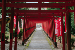 鳥居の連打