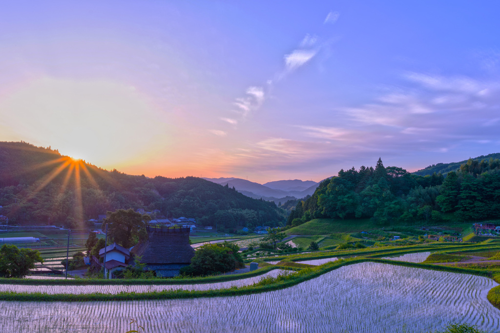棚田。