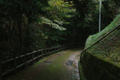 差し込む光