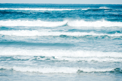 日本海