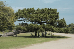 Lクラシックネオ撮って出し２