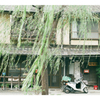 京都スナップ