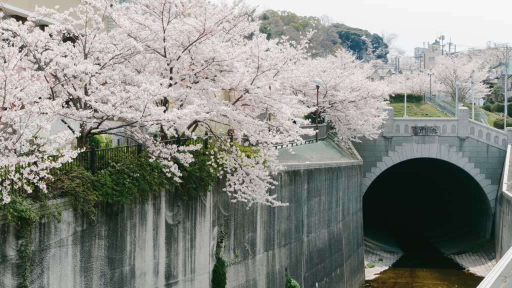 謎のトンネル