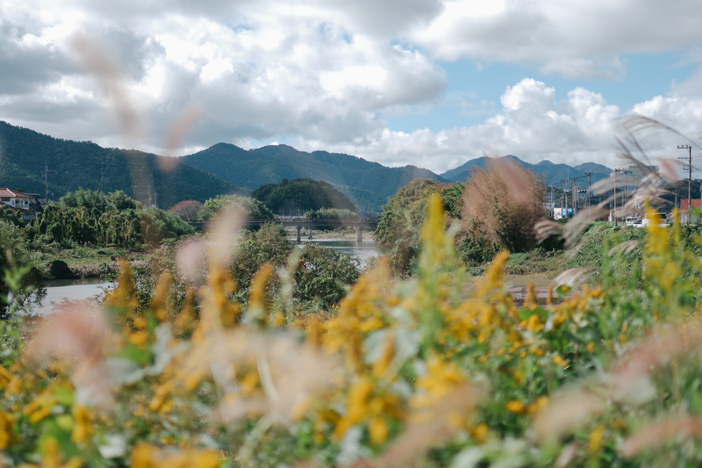 田舎の風景