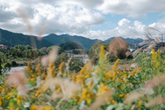 田舎の風景