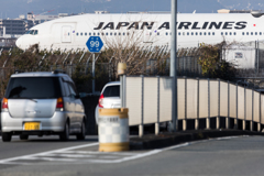 街を横切るでかい奴