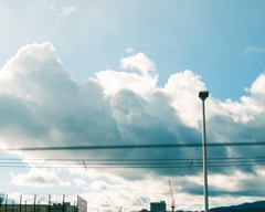 冬の空