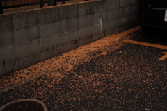 オレンジ
