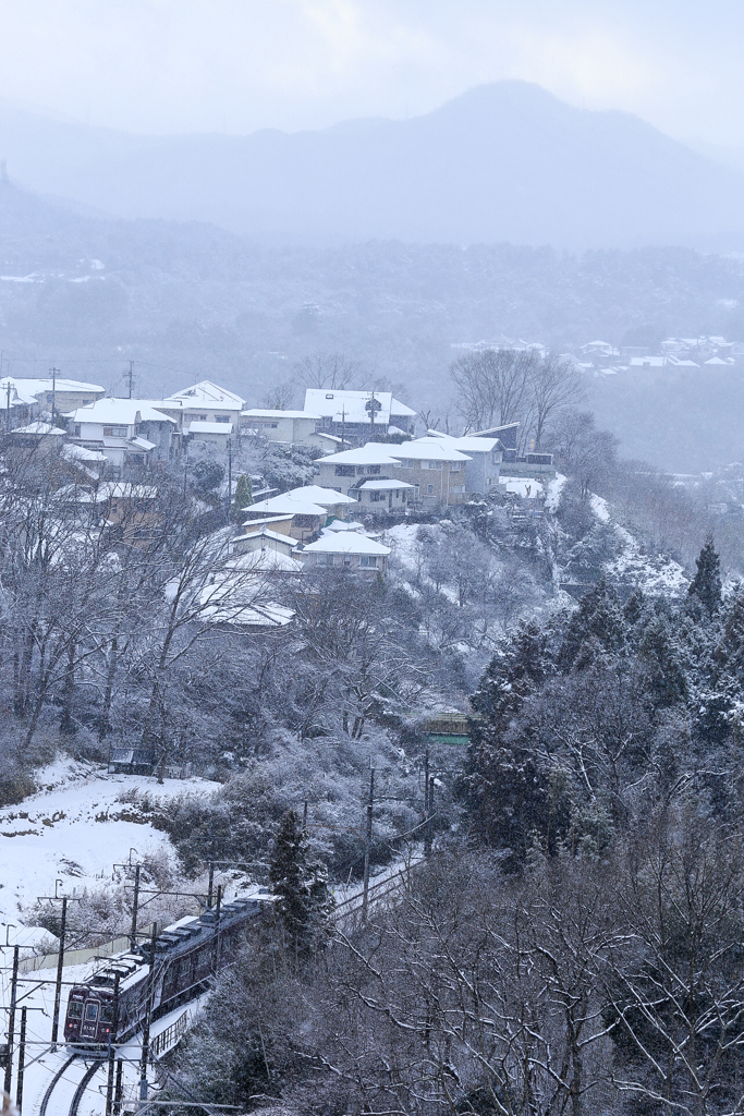 久しい雪化粧