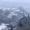 久しい雪化粧