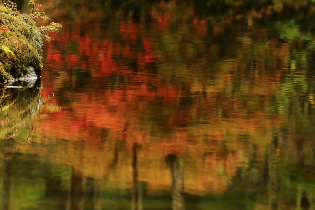 少し早めの紅葉