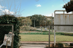 田舎の風景